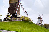Brugge - due mulini a vento il Sint-Janshuysmolen e l adiacente Bonne-Chiere.